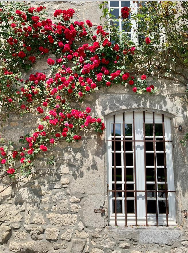 Chateau De La Borde A Ussel, Centre-Ville, Proche Autoroute A89 Ussel  Kültér fotó